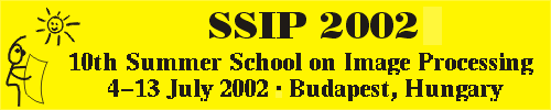 SSIP 2002 logo
