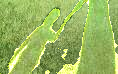 example