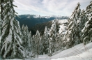 1994-feb_006.ppm