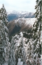1994-feb_008.ppm