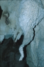 borneo_067.ppm