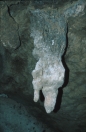 borneo_068.ppm
