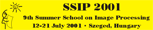 SSIP 2001 logo