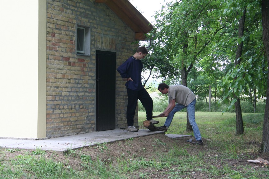 ssip_016.jpg