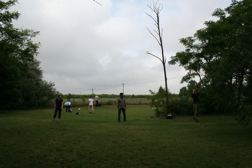 ssip_029.jpg