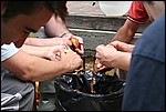 ssip_037.jpg