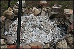 ssip_046.jpg