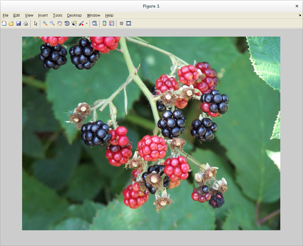 K&eacute;p megjelen&iacute;t&eacute;se az imshow() f&uuml;ggv&eacute;nnyel