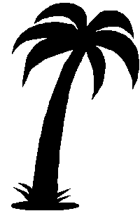 P&eacute;lda bin&aacute;ris k&eacute;pre (p&aacute;lmafa)